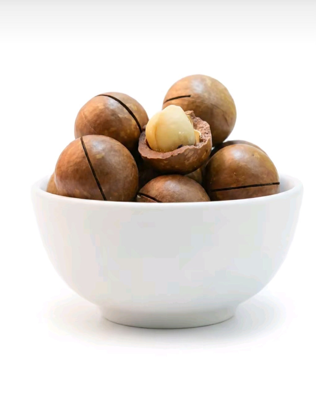 Macadamia nuts