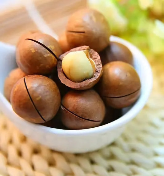 Macadamia nuts